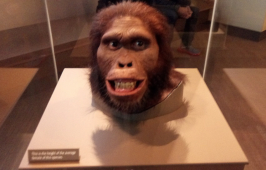 Stupid money mistakes part 2