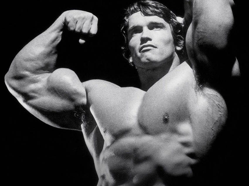 Why building your muscle is one of the best investments you can make