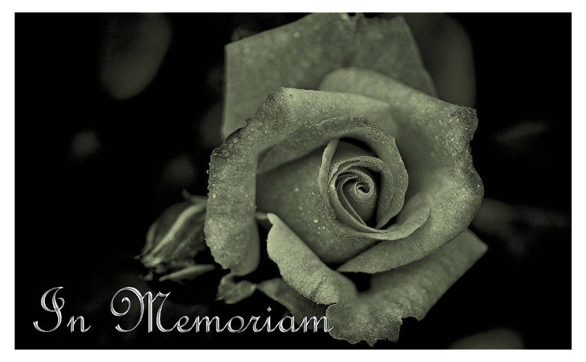 Preparing for the invevitable: Death of a Loved One